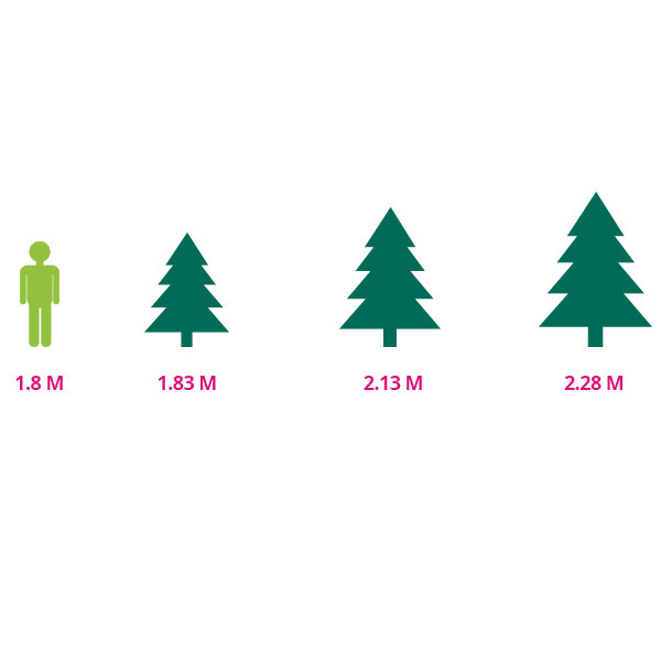 A Perfect Christmas Kunstkerstboom | A Perfect Christmas | Michigan | 1.83 meter (602 tips, Hardneedle) 31HMIF183 K151100048 - 4