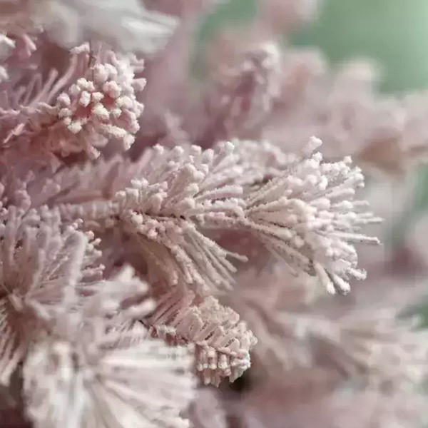 A Perfect Christmas Kunstkerstboom | A Perfect Christmas | Teddy Pink | 2.10 meter (910 tips) 31HTEDPF210 K151100188 - 2