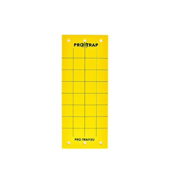 Aeroxon Val voor vliegende insecten | Aeroxon | 10 stuks (Lijm) 33441AE K170115110 - 1