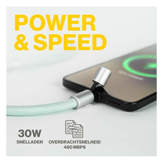 Aqiila Lightning telefoonkoord | Aqiila | USB 2.0 (30W, 480 Mbps, Mint) AQLYCBPBICL3GR138 K010605507 - 4