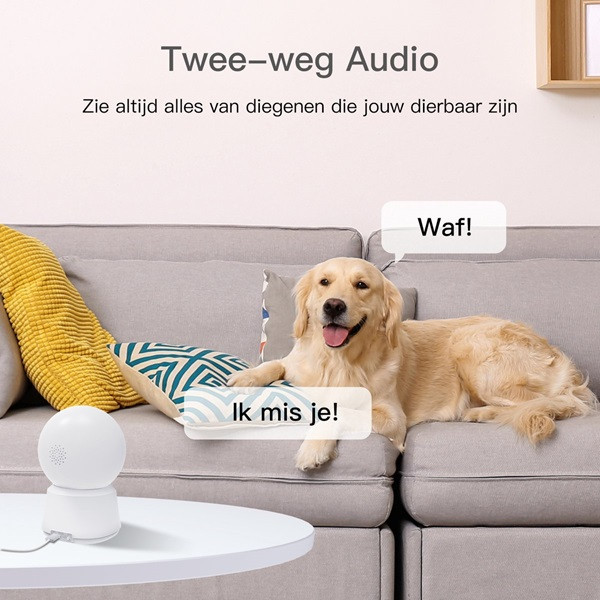 Arenti Beveiligingscamera wifi | Arenti (2.5K, 10 meter nachtzicht, Draaifunctie, Gespreksfunctie, Bewegingsdetectie, Binnen) P2Q K170113627 - 8