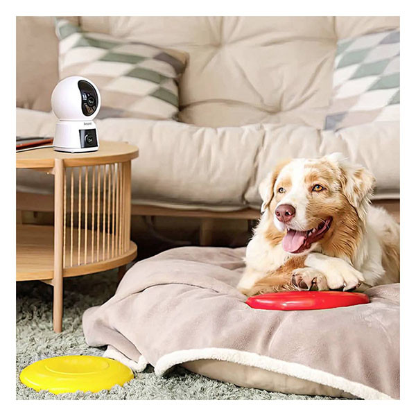 Arenti Beveiligingscamera wifi | Arenti (2K, Dubbele camera, Nachtzicht, Draaifunctie, Bewegingsdetectie, Binnen) P3TT K170113638 - 6