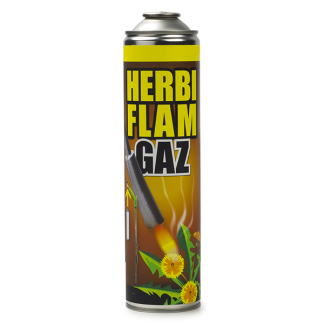 BSI Gasfles onkruidbrander | BSI | 600 ml 64060 K170113015 - 1