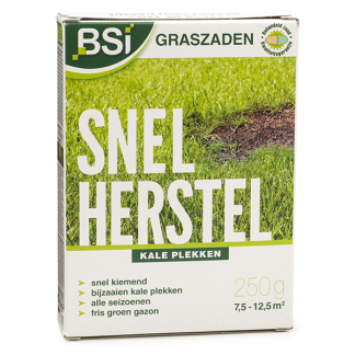 BSI Graszaad herstel | BSI | 7.5 - 12.5 m² (Snel kiemend, 250 gram) 64595 K170115610 - 1