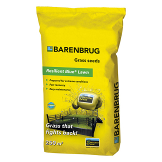 Barenbrug Graszaad | Barenbrug | Resilient Blue Lawn | 250 m² (Snel herstel, 5 kg) 18001550 K170116704 - 1