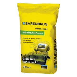 Barenbrug Graszaad | Barenbrug | Resilient Blue Lawn | 750 m² (Snel herstel, 15 kg) 26007700 K170116705 - 1