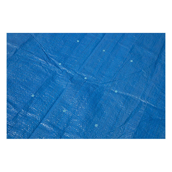 Bestway Afdekzeil zwembad | Bestway | Zomer | 221 x 150 cm (Rechthoek, Bevestigingskoord) 58103 K180107738 - 4