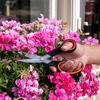 Black & Decker Bloemenschaar | BLACK+DECKER | 20.2 cm 871125223538 K170113379 - 3