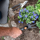 Black & Decker Tuingereedschapset | BLACK+DECKER | 4-delig (Snoeischaar, Handhark, Tuinschepje, Kniekussen) 871125223426 K170116610 - 6
