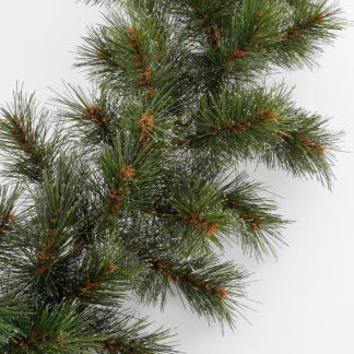 Black Box Guirlande | Black Box | Glendon | 2.7 meter (Ø 25 cm, Groen, Bevroren, Binnen) 1015808 K151100103 - 2
