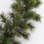 Black Box Guirlande | Black Box | Glendon | 2.7 meter (Ø 25 cm, Groen, Bevroren, Binnen) 1015808 K151100103 - 2
