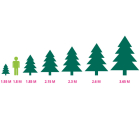 Black Box Kunstkerstboom | Black Box | Brampton | 2.15 meter (1992 tips, PVC/PE) 1034664 K151100009 - 4