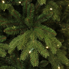Black Box Kunstkerstboom | Black Box | Brampton | 2.3 meter (320 leds, 2322 tips, PVC/PE) 382778 K151100013 - 2