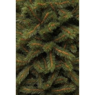 Black Box Kunstkerstboom | Black Box | Kingston | 1.85 meter (501 tips, PVC) 1034673 K151100014 - 2