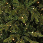 Black Box Kunstkerstboom | Black Box | Macallan | 3.65 meter (1104 leds, 6178 tips, PVC) 1013612 K151100028 - 2