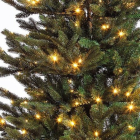 Black Box Kunstkerstboom | Black Box | Macallan | 3.65 meter (1104 leds, 6178 tips, PVC) 1013612 K151100028 - 3