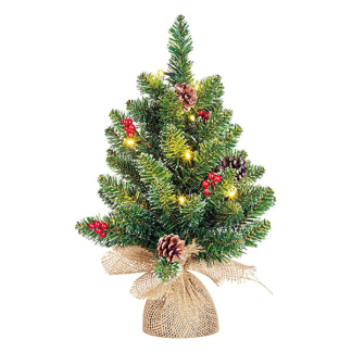 Black Box Kunstkerstboom met verlichting | Black Box | Creston | 45 centimeter (15 leds, Groen, Bevroren, Besjes, Dennenappels, Binnen) 1065813 K151100118