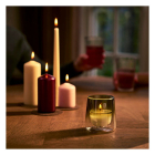 Bolsius CleanLight navulling | Cypress & Amber (Plantaardige wax, Tot 20 branduren, 2 stuks) 101924030501 101925030501 K150303177 - 4