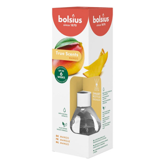 Bolsius Geurstokjes | Bolsius | Mango | 60 ml (True Scents, Tot 6 weken) 101924970410 K150303275 - 2
