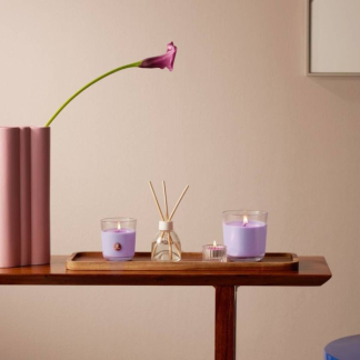 Bolsius Geurtheelichten | Bolsius | Magnolia | 18 stuks (True Scents, Plantaardige wax, 4 branduren) 101926943404 K150303284 - 3