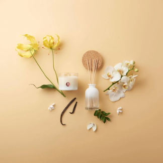 Bolsius Giftset True Joy Vanilla Delight | Geurkaars & Geurstokjes 101993007175 K150303273 - 3