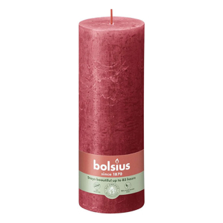 Bolsius Stompkaars | Bolsius | Delicate Red | 19 x Ø 6.8 cm | 4 stuks (Rustiek) 103668850341 K150303437 - 2