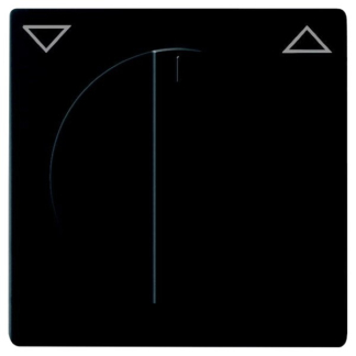 Busch Jaeger Bedieningswip voor inbouwschakelaar | Busch-Jaeger | Future Linear | 2 standen (Jaloezie, Zwart) 66.055.13 K180107940