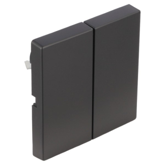 Busch Jaeger Bedieningswip voor inbouwschakelaar | Busch-Jaeger | Future Linear (Serie, Wissel/wissel, Zwart) 66.055.02 K180107930