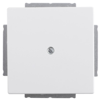 Busch Jaeger Blindplaat | Busch-Jaeger | Future Linear (Wit) 58.060.20 K180107927