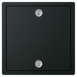 Busch Jaeger Blindplaat | Busch-Jaeger | Future Linear (Zwart) 66.055.19 K180107934