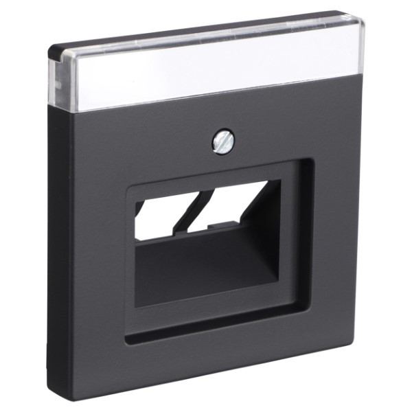 Busch Jaeger Centraalplaat | Busch-Jaeger | Future Linear (2 poorten, TAE, UAE, USB, Zwart) 66.055.56 K180107942 - 1