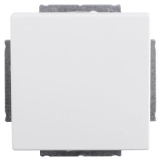 Busch Jaeger Wisselschakelaar | Busch-Jaeger | Future Linear (Inbouw, Wit) 58.060.01 K180107933