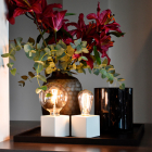 Calex Slimme lamp E27 | Calex Smart Home | Globe (Led, 7.5W, 1055lm, 1800-2700K, Dimbaar) 429036 K170203047 - 4