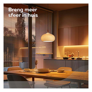 Calex Slimme lamp E27 | Calex Smart Home | Globe (Led, 7W, 400lm, 1800K, Dimbaar, Titanium) 429109 5101001700 K170202477 - 5