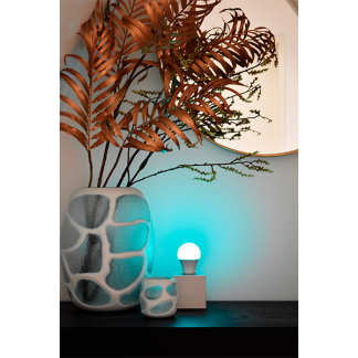 Calex Slimme lamp E27 | Calex Smart Home | Peer (9.4W, 806lm, RGBW, 2200-4000K, Dimbaar) 429004 K170203043 - 4