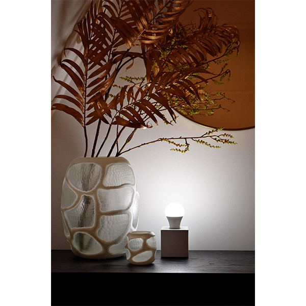 Calex Slimme lamp E27 | Calex Smart Home | Peer (9.4W, 806lm, RGBW, 2200-4000K, Dimbaar) 429004 K170203043 - 6