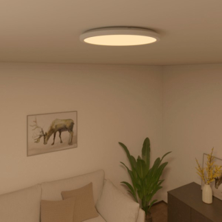 Calex Slimme plafondlamp | Calex Smart Home | Halo (Led, 22W, RGBW, 2700 – 6500K, 1500lm, Dimbaar, Ø29.2 cm) 5301000600 K170203890 - 3