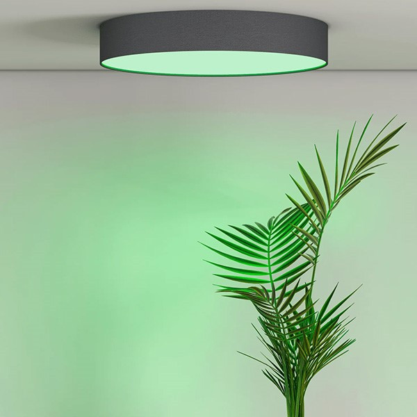 Calex Slimme plafondlamp | Calex Smart Home (Led, 16W, RGBW, 3000 – 6500K, 1500lm, Dimbaar, Ø30 cm) 5301000270 K170203892 - 3