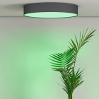 Calex Slimme plafondlamp | Calex Smart Home (Led, 16W, RGBW, 3000 – 6500K, 1500lm, Dimbaar, Ø30 cm) 5301000270 K170203892 - 3
