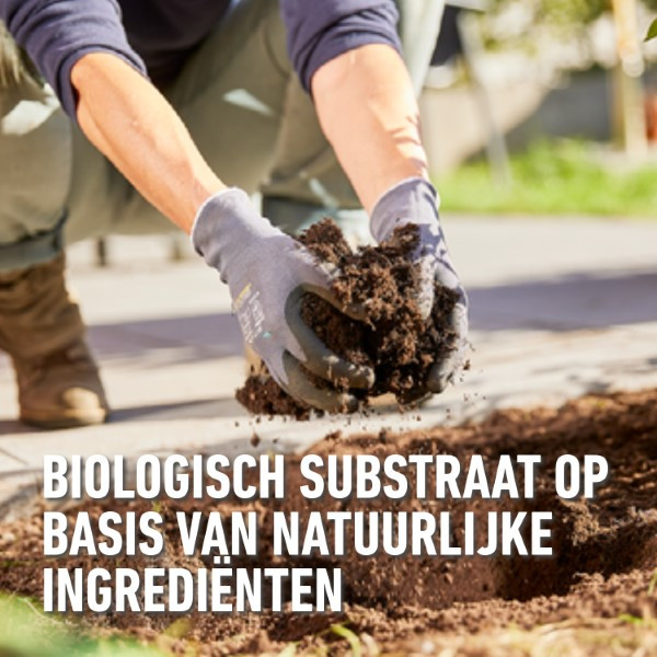 Compo Aanplantingen bodemverbeteraar | Compo | 40 liter (Bio-label, Organisch) 2633404017 K170116044 - 4