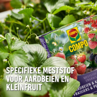 Compo Aardbeien en kleinfruit mest | Compo | 19 m² (Hersluitbaar, 850 gram) 2536212017 2560302017 K170115794 - 6