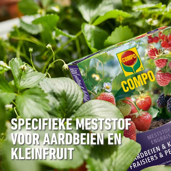 Compo Aardbeien en kleinfruit mest | Compo | 850 gram (19 m², Hersluitbaar) 2536212017 2560302017 K170115794 - 6