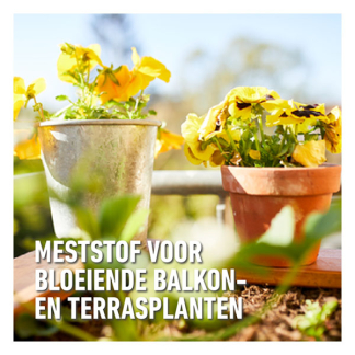 Compo Balkonplanten en geraniums voeding | Compo | 2.5 liter (25 m², Bio-label) 1438232017 K170115955 - 3