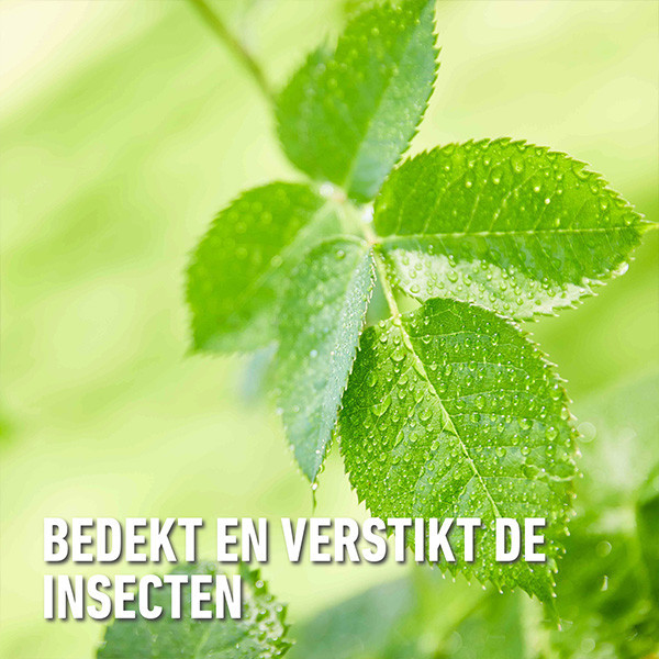 Compo Bladluis bestrijding | Compo | Bio Insect Stop | 250 ml (Concentraat) 2351302003 A170501697 - 7