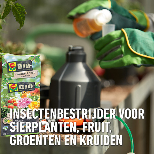 Compo Bladluis bestrijding | Compo | Bio Insect Stop | 250 ml (Concentraat) 2351302003 A170501697 - 5
