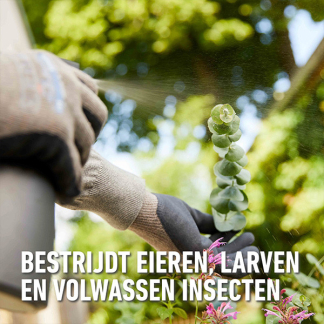 Compo Bladluis bestrijding | Compo | Bio Insect Stop | 250 ml (Concentraat) 5411196660964 A170501697 - 6