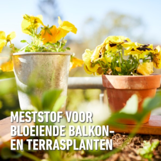 Compo Bloeiende planten en geraniums voeding | Compo | 500 ml (Vloeibaar) 1434922017 K170116068 - 3