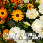 Compo Bloeiende planten en geraniums voeding | Compo | 500 ml (Vloeibaar) 1434922017 K170116068 - 6
