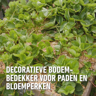 Compo Bodembedekker | Compo | 50 liter (Miscanthus) 2421304017 K170116279 - 3