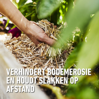 Compo Bodembedekker | Compo | 50 liter (Miscanthus) 2421304017 K170116279 - 6
